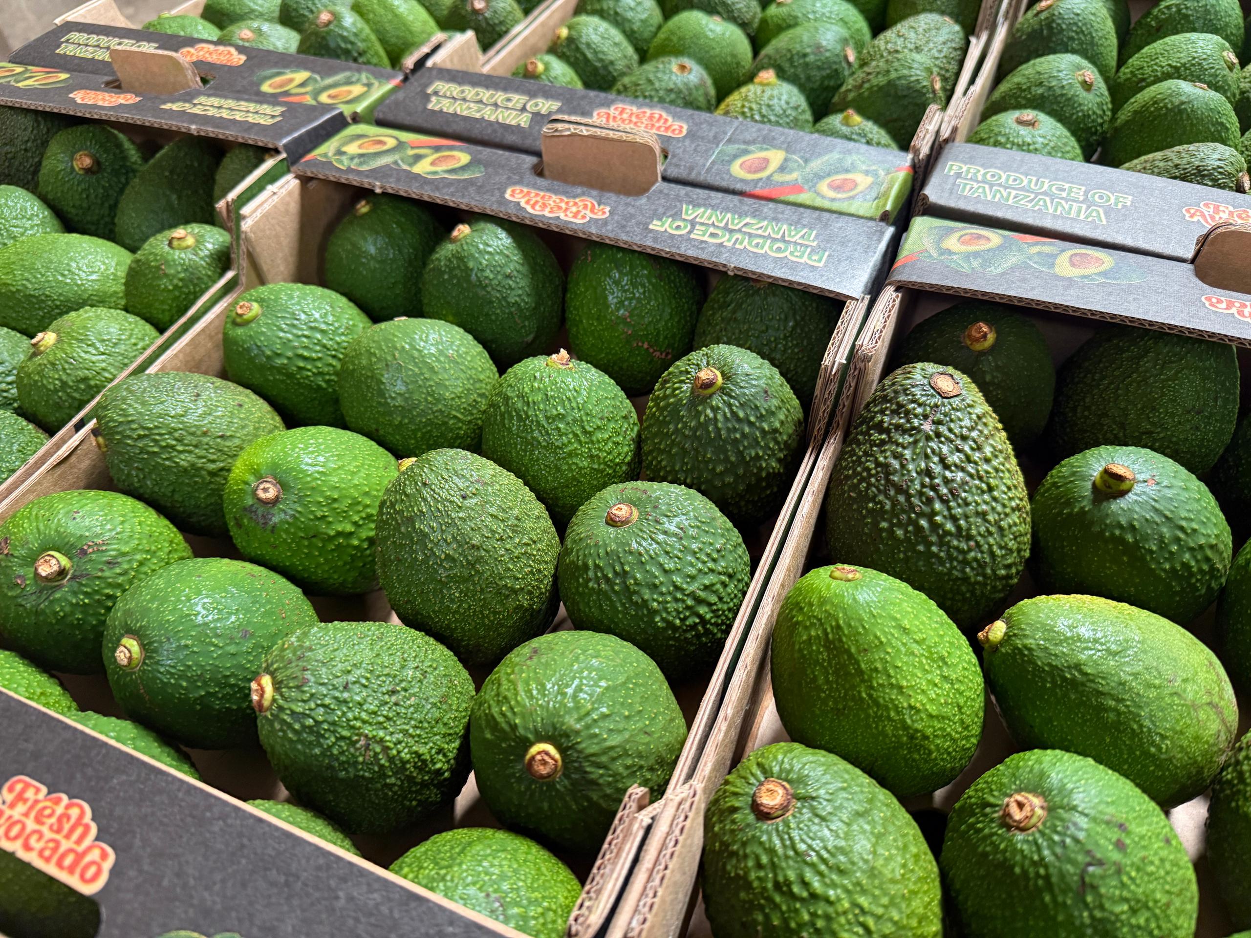 Tanzanian Farm Landscape