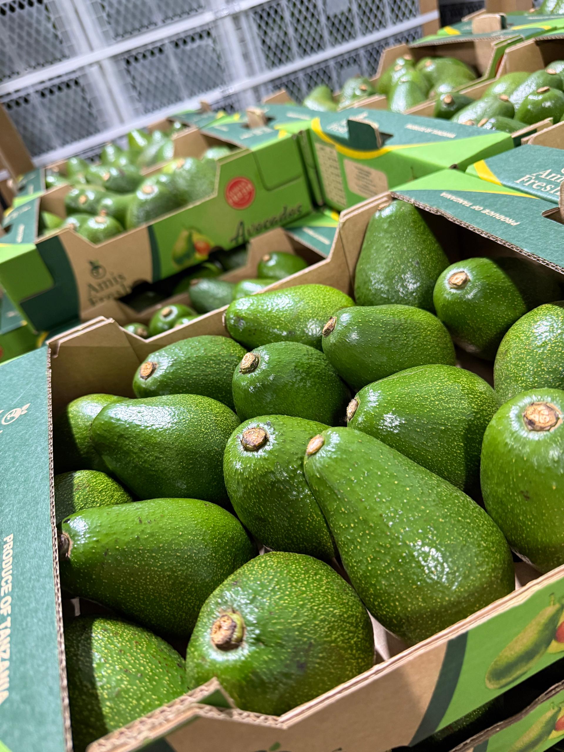 Logistics and Distribution